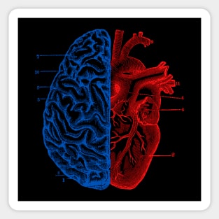 Heart and Brain Sticker